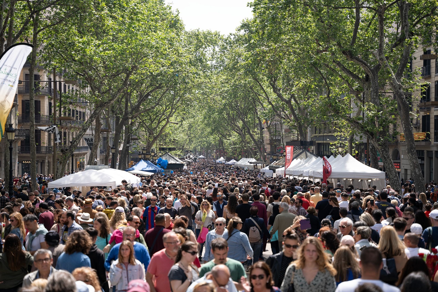 Sant Jordi 2024 en la Rambla de Barcelona - Revista Rambla