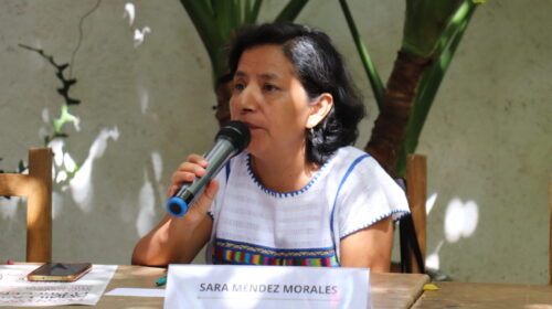 Sara Méndez