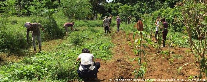 Voracidad “bio” de las multinacionales agroquímicas